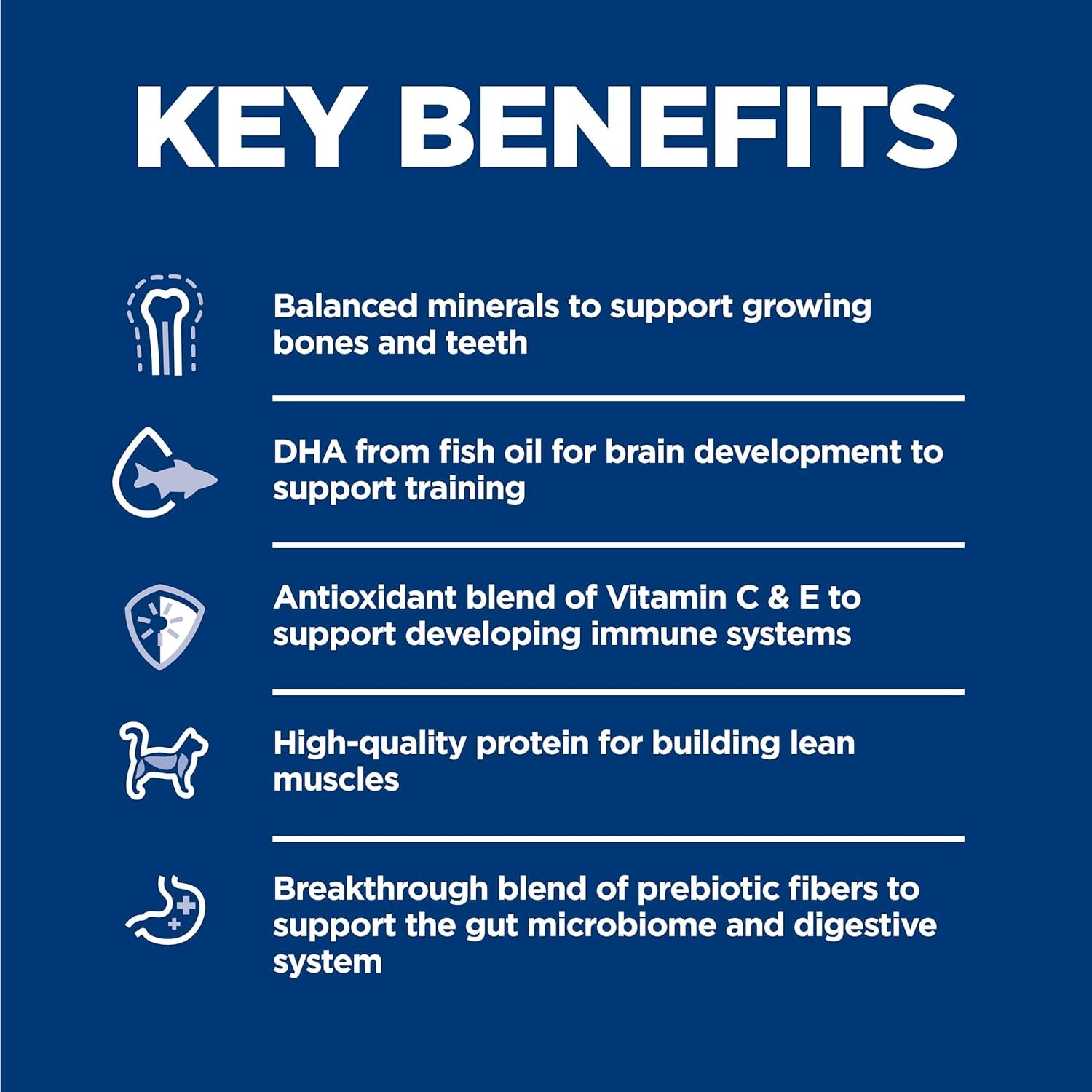 Dry Cat Food, Kitten, Indoor, Chicken Recipe, 3.5 Lb. Bag