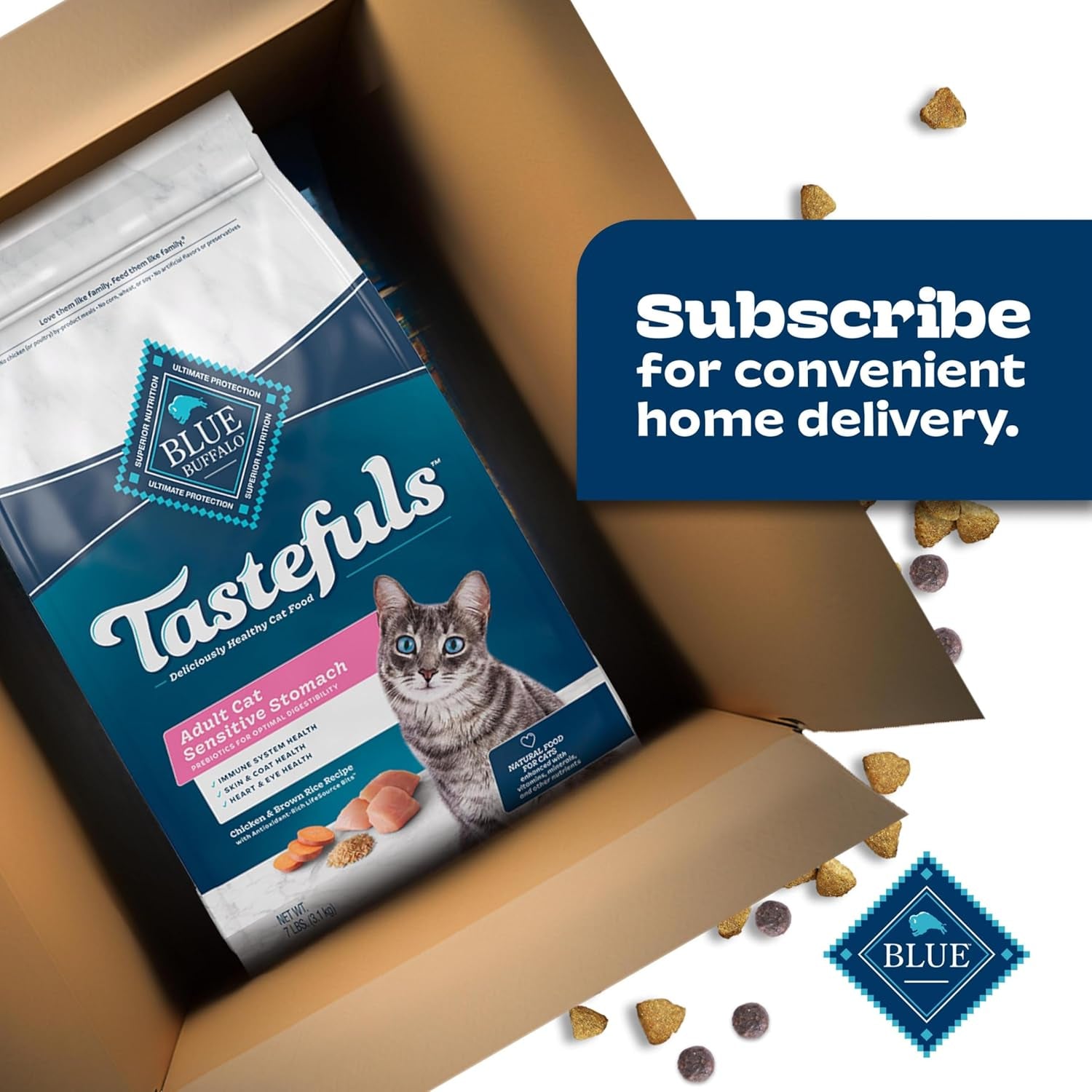 Sensitive Stomach Natural Adult Dry Cat Food, Chicken & Brown Rice